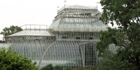 В Петербурге необходима реконструкция Ботанического сада 